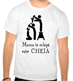 Tricou Munca in echipa
