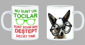 Cana Nu sunt tocilar