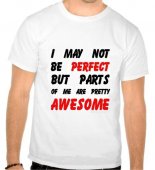 Tricou I may not be perfect